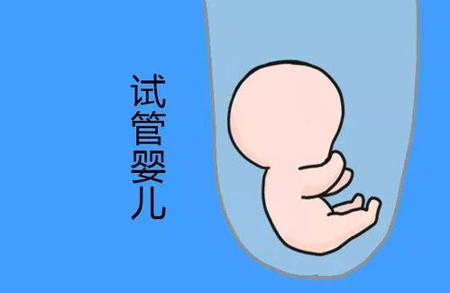 王晨光主任